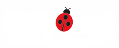 LadyBug Technologies LLC