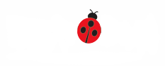 LadyBug Technologies LLC